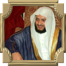 Hani ar Rifa'i || Mp3 Quran APK