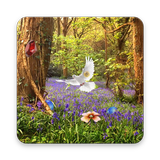 Gems Forest Escape アイコン