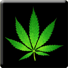 3D Marijuana live wallpaper biểu tượng