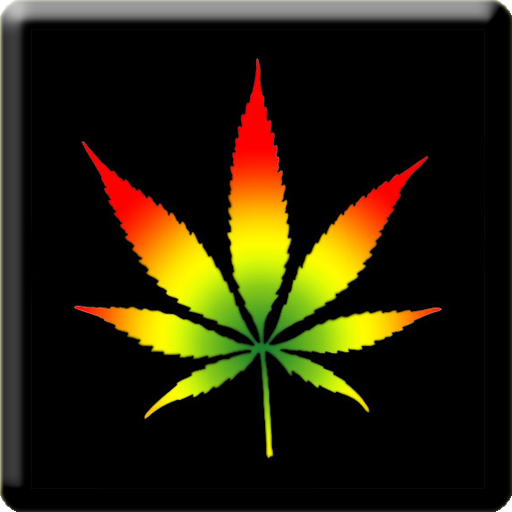 3D Marijuana Rasta Wallpaper