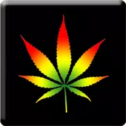 3D Marijuana Rasta Wallpaper