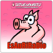 EsAuRiRadio