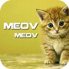 Cat Sound Ringtones Meowwe icône