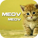 Cat Sound Ringtones Meowwe-APK