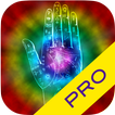 Palm Reader - Human Expert