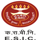 ESIC icône