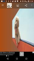 Papel de parede cães bonitos imagem de tela 2