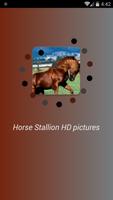 Horse Stallion HD pictures capture d'écran 3