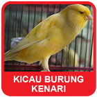 Canary bird sounds icon