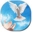 Espiritu Santo ícone