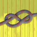 Knots 3D - How to Tie Knots APK