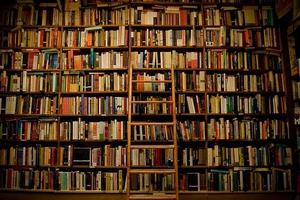 My Favorite Bookstores imagem de tela 1