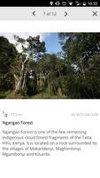 Kenya Forestry 截圖 2