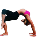 Back Flexibility Stretches APK