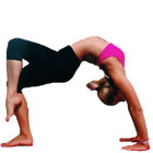 Back Flexibility Stretches icône