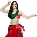 Belly Dance Drum Solo APK