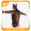 Easy Back Posture Exercises