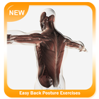 Exercícios fáceis de postura traseira ícone