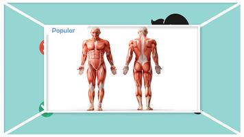 Easy Back Posture Exercises اسکرین شاٹ 3