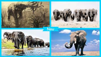 Elephant Wallpaper capture d'écran 3