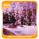 Sakura Wallpaper FREE APK