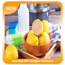 Scented DIY Vinegar Cleaners-APK