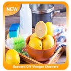 Scented DIY Vinegar Cleaners icon