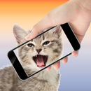 Chat Teaser Les Sons prank APK