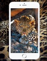Leopard Wallpaper poster