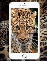 Wallpaper Leopard capture d'écran 1