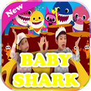 Baby shark song APK