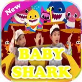 Baby shark song icono