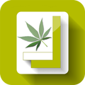 420Square