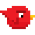 Fuglkrig