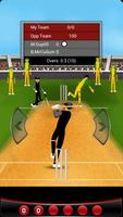 Cricket Fever स्क्रीनशॉट 3