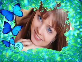Papillon Cadres photo Affiche
