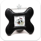 Photo Frames for Pets icon