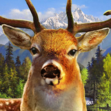 Jungle Deer Hunter 2016 icône
