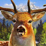 Icona Jungle Deer Hunter 2016