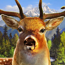Jungle Deer Hunter 2016 APK