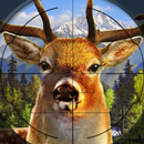 Jungle Hunter 2017 APK