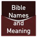 Biblical and Meaning Names APK