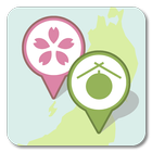 自分だけの旅ルートを作成するアプリ「桜旅酒蔵旅マイルート」-icoon