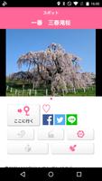 東北の桜の名所や酒蔵めぐりを楽しむ「東北桜旅・酒蔵旅ナビ」 capture d'écran 2