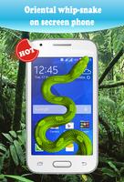 Green Snake On Secreen Affiche