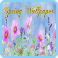 Spring Fowers hd wallpaper Free