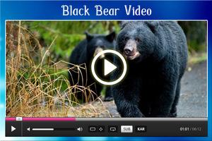 HD Video Player 截图 1