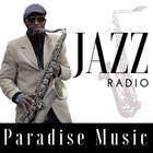 Paradise Music FM Radio ONLINE FREE APP RADIO icône