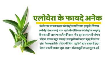 Aloe vera Benefits in Hindi poster