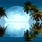 Fullmoon at Night Free LWP icon